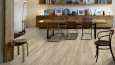 Ocean Oak